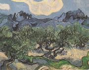 Olive Trees with the Alpilles in the Background (nn04), Vincent Van Gogh